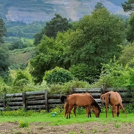 Rural Cerca De Bilbao 民宿 *