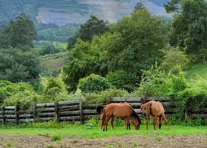 Rural Cerca De Bilbao شقة *